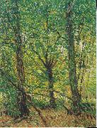Vincent Van Gogh Trees and Undergrowth china oil painting artist